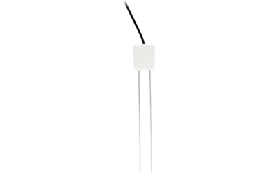 CS616